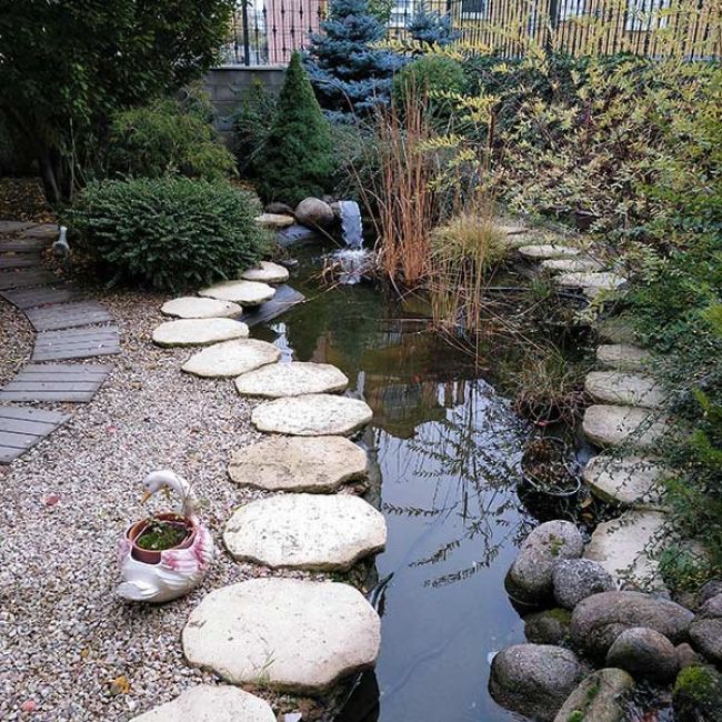 Empresa de jardinería y vivero en León