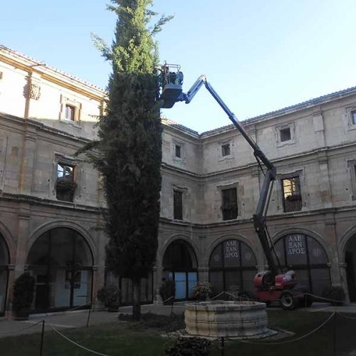 Nuestros trabajos de jardinería en León